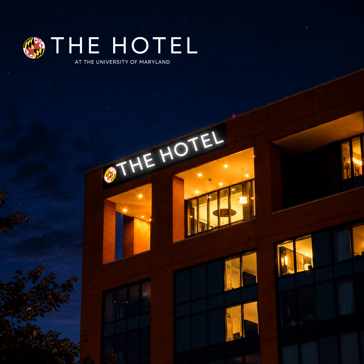 the hotel