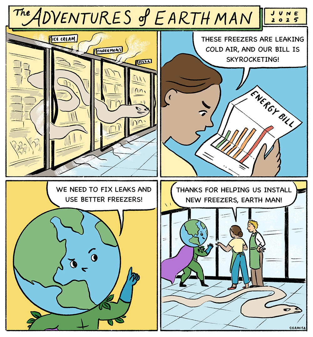 A grocery store discovers its freezers are leaking cold air while its energy bill keeps climbing.  EARTH Man identifies the leaks and recommends fixing them and replacing inefficient freezers with better equipment.  The store installs new freezers, reducing wasted energy and keeping food cold more efficiently.